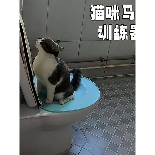 猫咪马桶训练器上厕所蹲厕训练神器可拆卸坐便猫砂盆防外溅猫砂盘