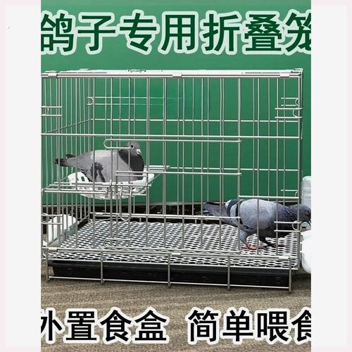 鸽子笼养鸽子专用笼养殖笼家用繁殖笼配对笼大号新型鸽舍鸽子笼子