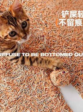腐匠匠猫柿砂子豆猫除物臭无尘结团可冲马桶膨润土宠物植猫匠匠猫