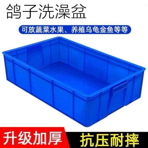鸽子赛鸽信鸽家鸽专用洗澡盆信鸽用品浴盆鸽舍专用加厚塑料盆鸽具