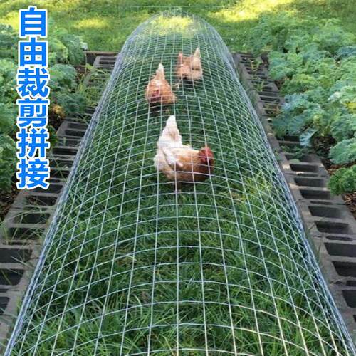农场养鸡隧道笼走地鸡笼跑道户外养殖散养溜达移动鸡笼子小院鸡舍