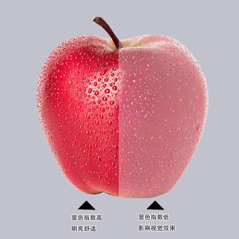 世林照明LED吸顶无频闪灯环形光源高亮节能改装维修替换灯芯灯泡
