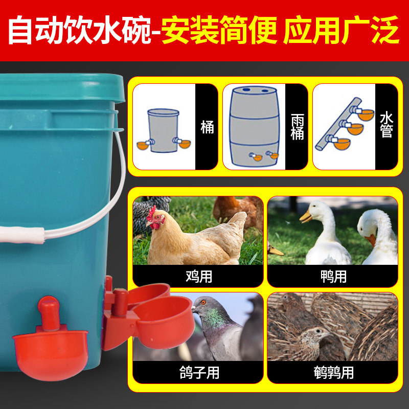 鸡用自动饮水器芦丁鸡鸽子喂水碗鸡鸭饮水喝水器鸡舍饮水神器养殖图片
