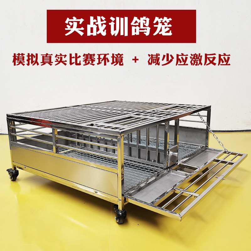 鸽子训放笼放飞笼信鸽用品用具巢箱配对笼赛鸽压笼实战训鸽笼鸽车