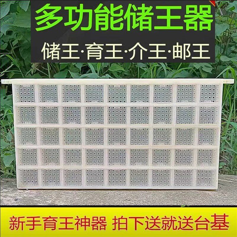 多功能木制蜜蜂储王器中意蜂通用关蜂王盒分蜂囚王笼养蜂工具包邮