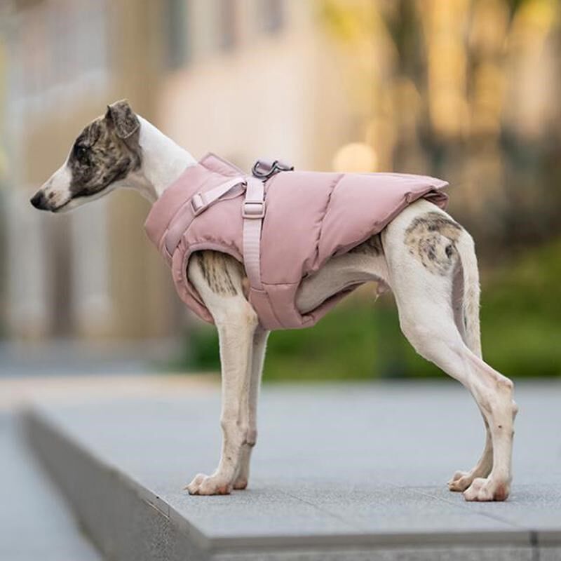 惠比特棉衣 宠物秋冬保暖棉背心中小型犬户外防风泰迪马甲可牵引