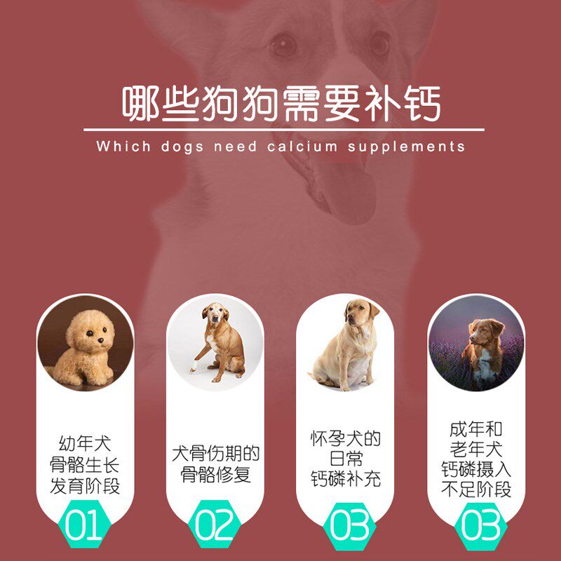巴迪狗狗钙片泰迪萨摩耶金毛小中大型成犬幼犬健骨补钙强化骨骼