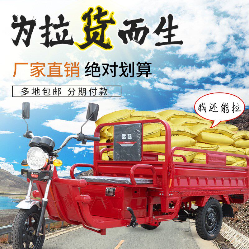 2025国标可上牌电动三轮车油电两用家用载重王载货大功率爬坡接送