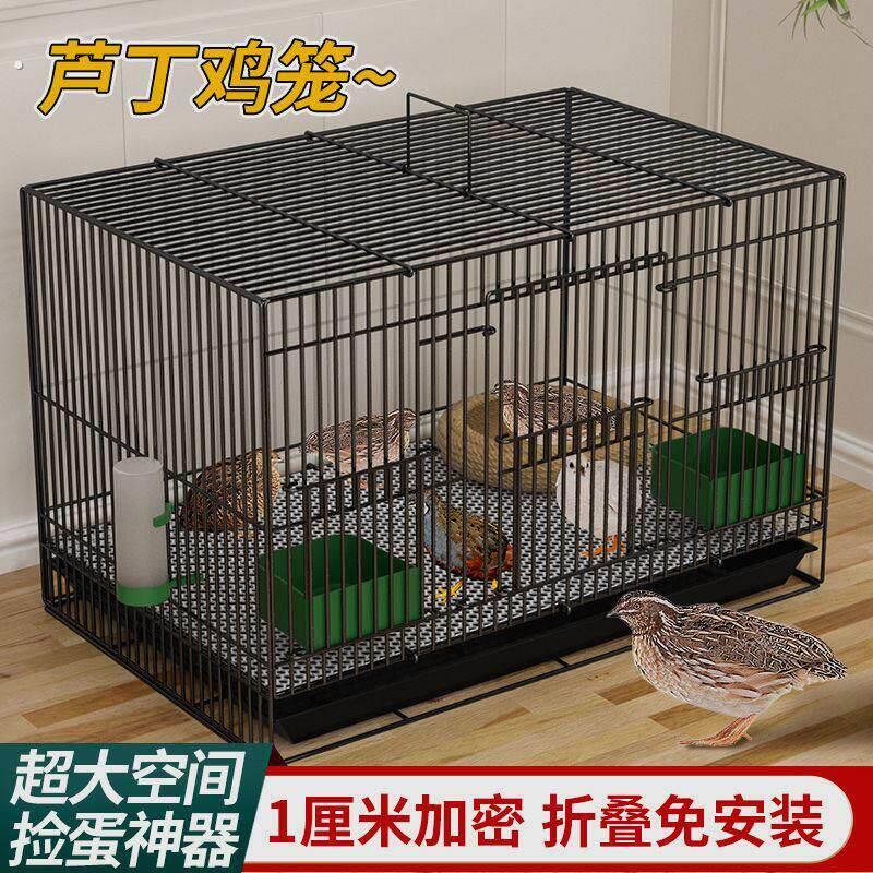 芦丁鸡专用养殖笼子家用加密大号芦丁鸡铁丝笼小鸡小鸭子鹌鹑鸟笼