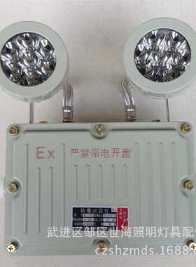 沈阳华容防爆2*3W白光led双头消防应急灯加油站220V应急照明灯