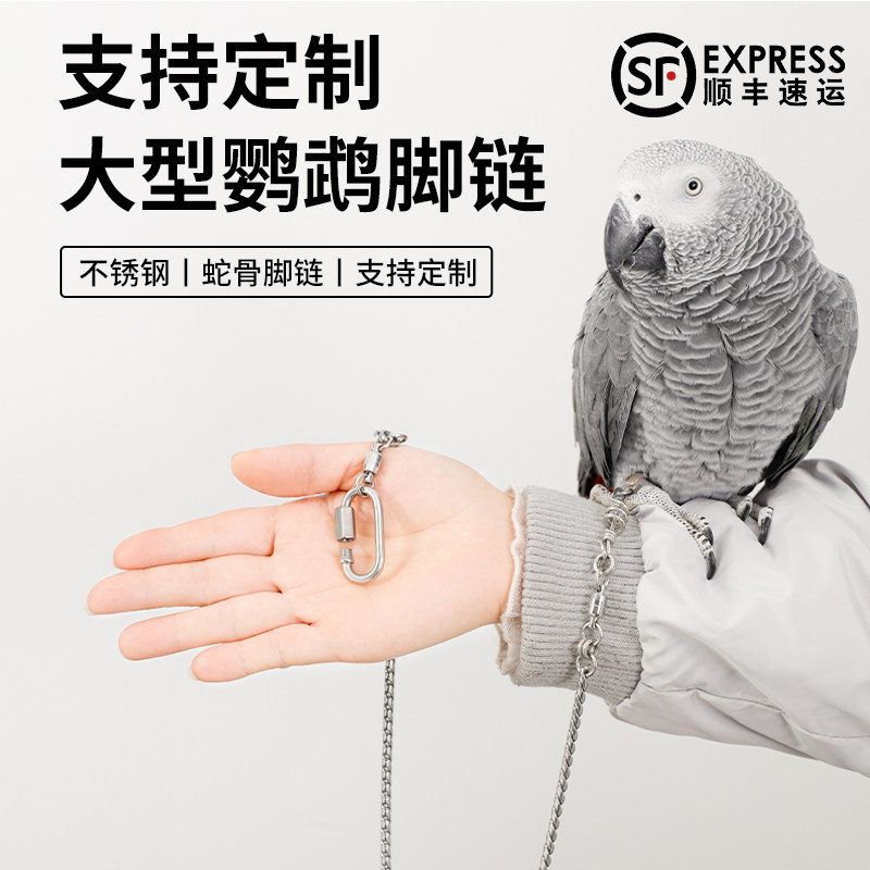 中大型金刚灰鹦鹉专用脚链脚环免费刻字不锈钢蛇骨链不伤脚防脱扣