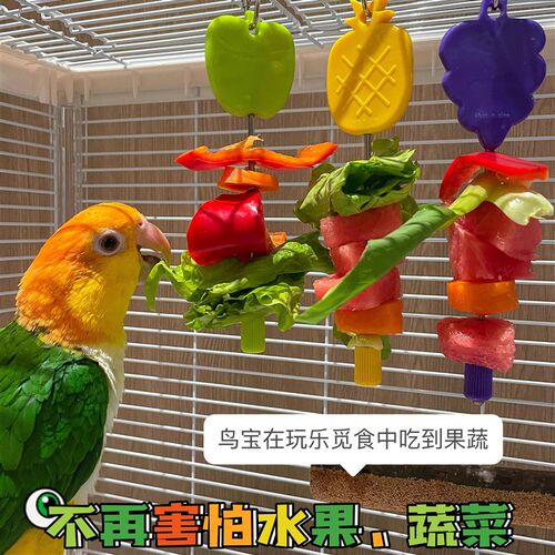 鹦鹉水果叉食盒挂钩鸟笼不锈钢蔬菜夹子玩具用品食物果蔬架食盆