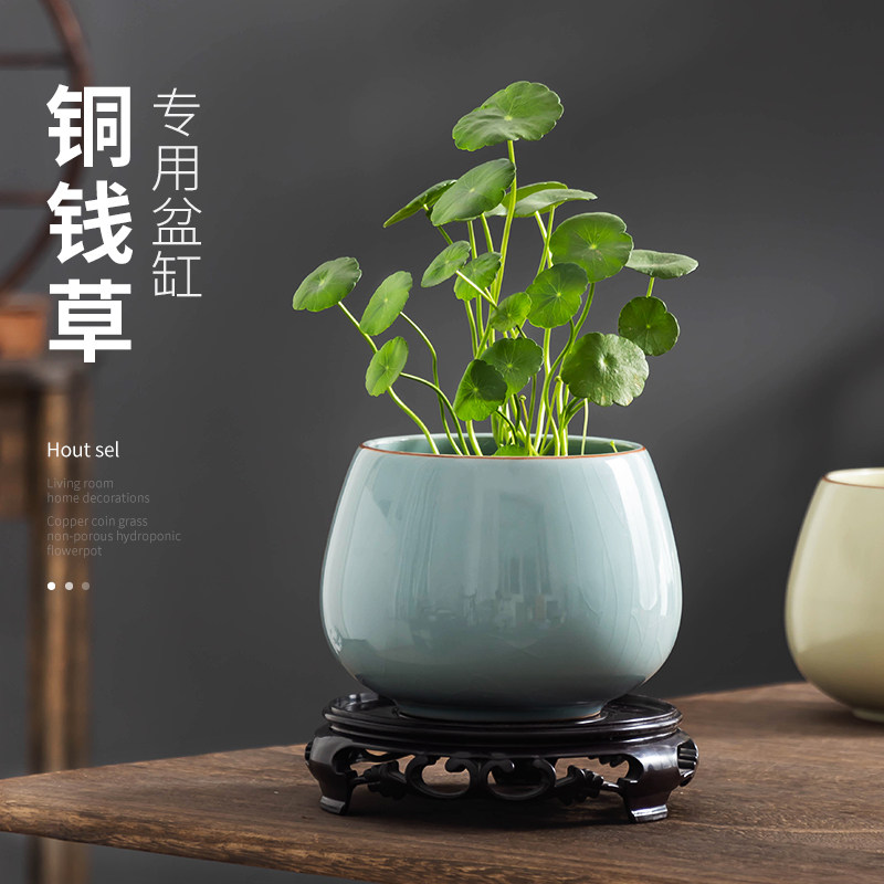 汝窑铜钱草水培花盆小植物客厅盆栽办公桌绿植水养金钱草小缸带托