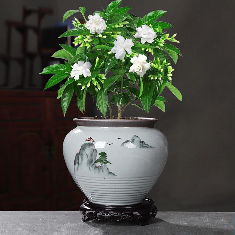 绿萝花盆陶瓷大号哥窑蝴蝶兰绿植君子兰多肉家用吊兰盆栽创意粗陶