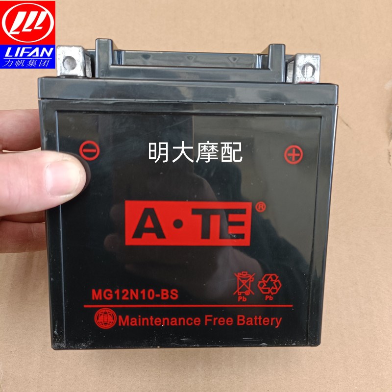 力帆V16/V16S/250-D/E/P/R/S/V型双缸太子款通用型电池蓄电瓶