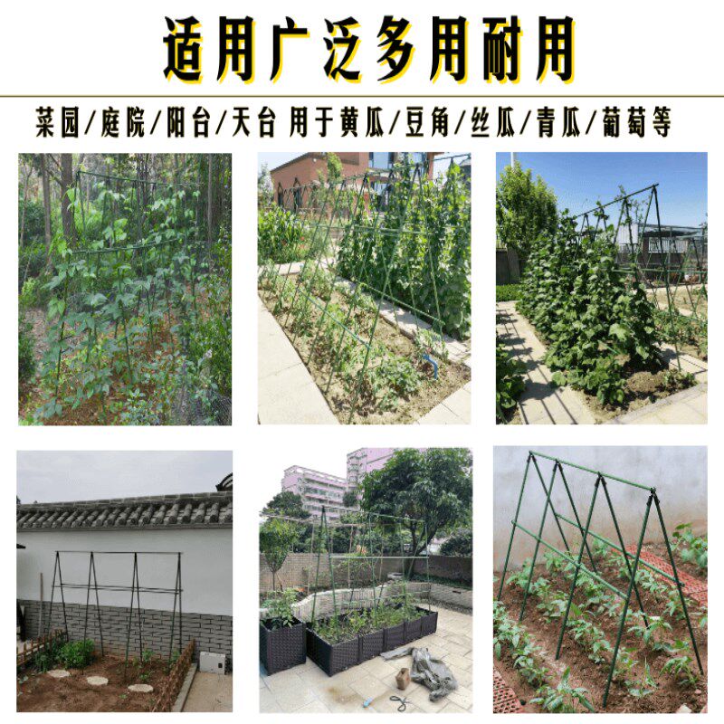 黄瓜爬藤架户外花架丝瓜爬藤支架豆角支撑杆西红柿庭院四季豆架子