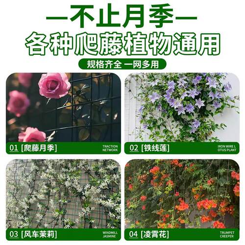 植物爬藤网植物新型攀爬网种植铁线莲专用网格爬藤架加粗农用花架