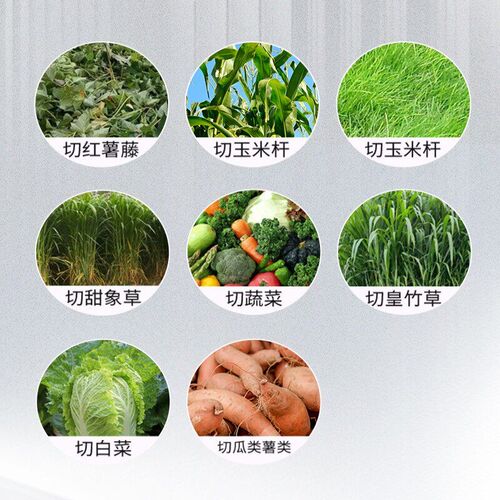 新款耐用不锈钢碎菜机桶式碎草机喂鸡喂鸭家禽绞菜机多功能切菜机