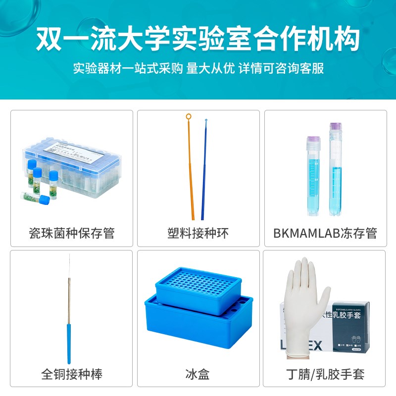 青岛海博瓷珠菌种保存管液体菌种保存管磁珠冻存管菌株冷冻管盒装