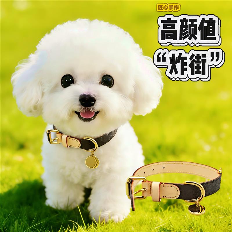 宠物猫狗项圈老花真皮定制可调节中型犬小型犬脖圈牵引绳