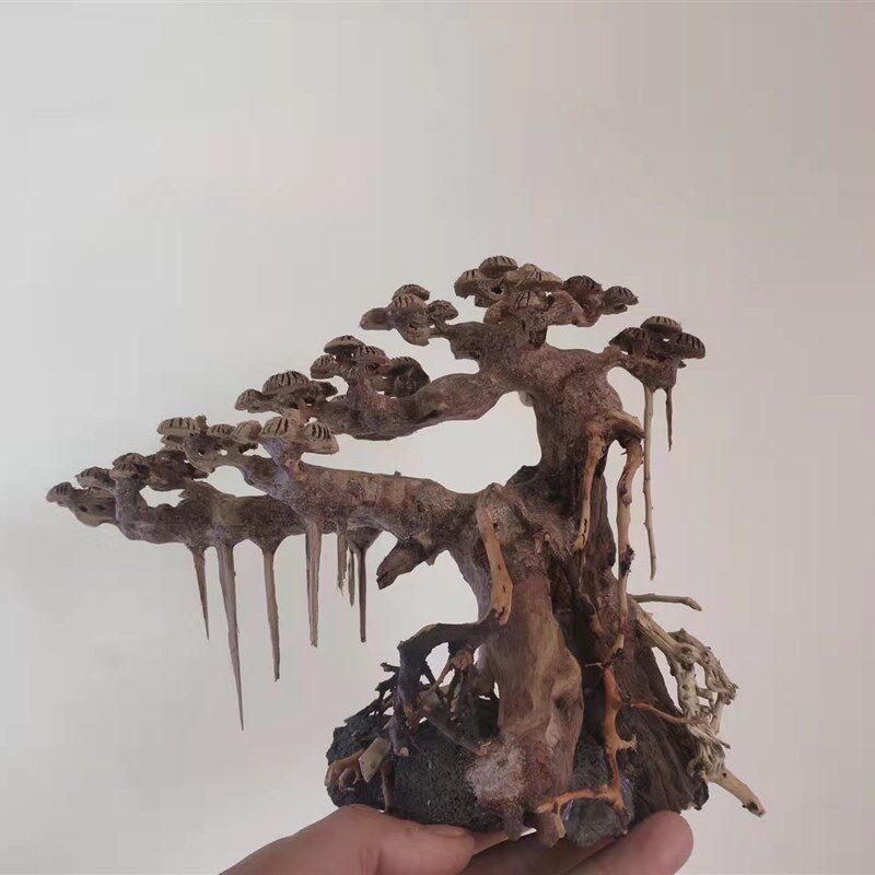 鱼缸造景巴西沉木免煮莫斯树迎客松杜鹃根草缸定制一木成景成品