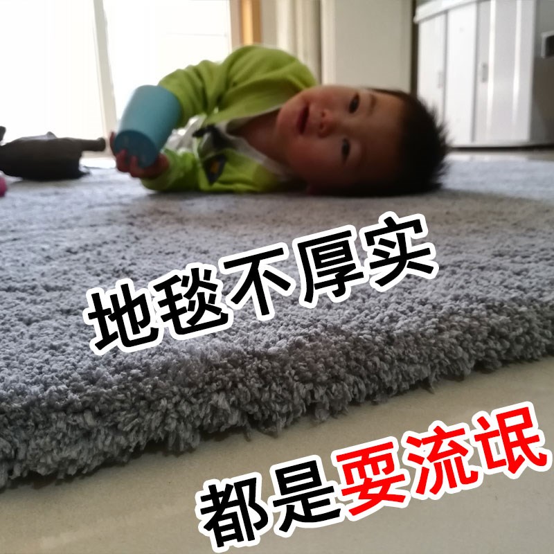加厚地毯客厅卧室房间沙发茶几垫床边毯满铺可爱装饰ins风长毛