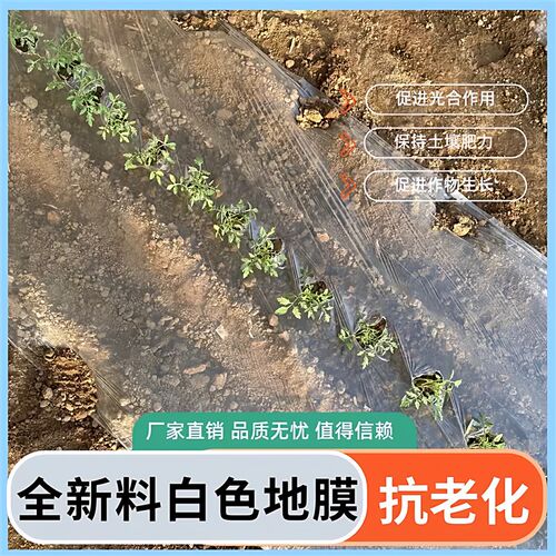 白色地膜保温加厚白地膜大棚黑色塑料薄膜种菜农用种植工程塑胶布