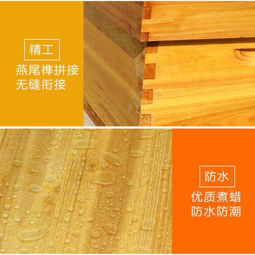 煮蜡杉木标准中蜂蜂箱包邮密蜂具全套十框养蜂工具蜜蜂箱平箱专用