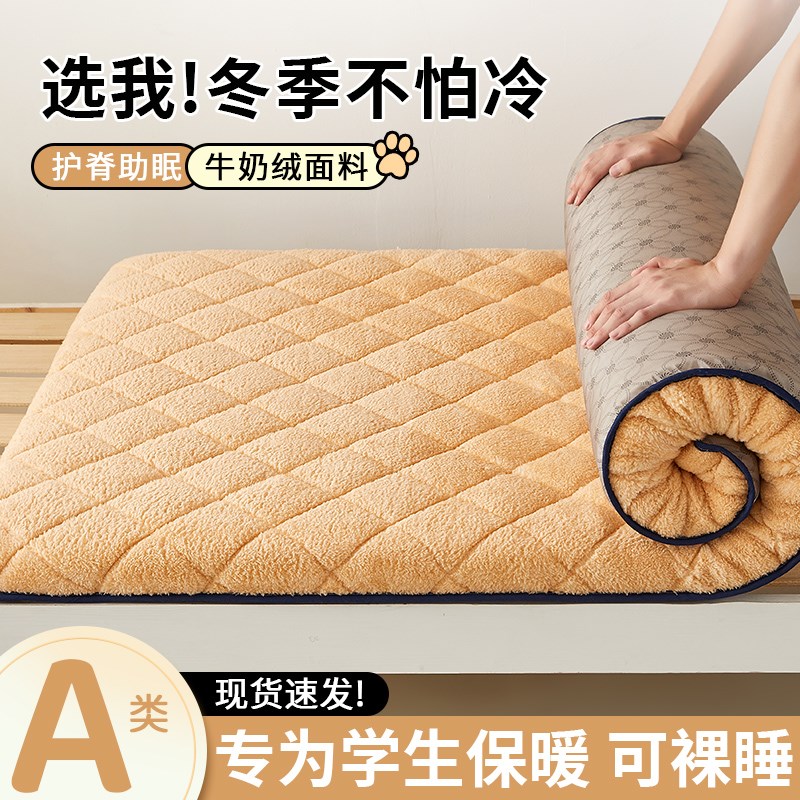 羊羔绒床垫学生宿单人软垫忆棉棉冬季加厚褥子睡垫珊瑚绒褥子垫被