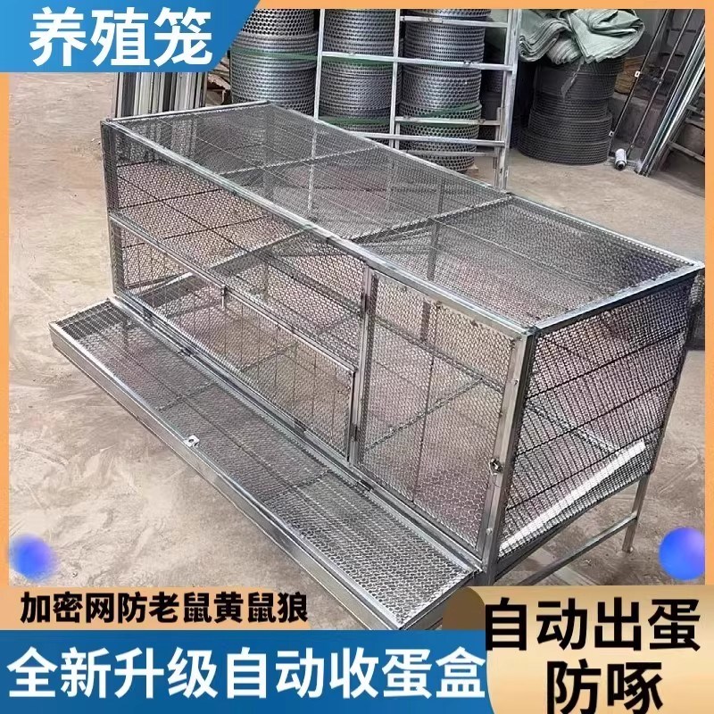 鸡笼子家用室外铁丝网大号防雨防黄鼠狼下蛋鸡笼自动滚蛋笼养殖笼