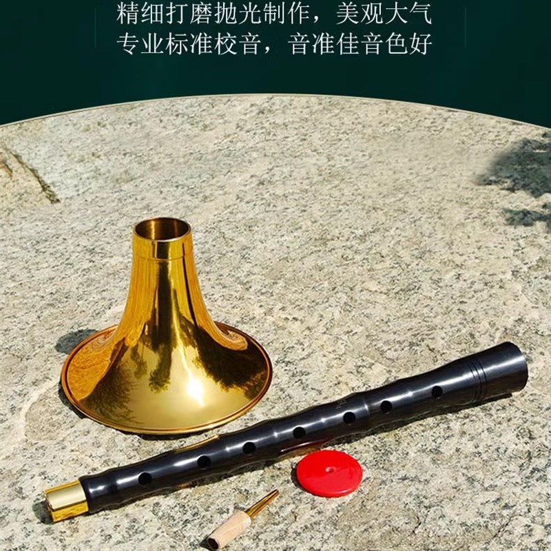 唢呐乐器全套黑檀乌木演奏锁呐D调降b调初学专业级红白事大中小号