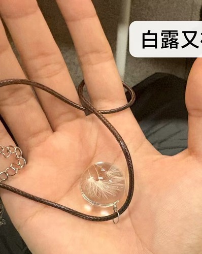 剧本杀既往云笙萧然伴手礼永生花蒲公英吊坠项链情侣情人节礼物
