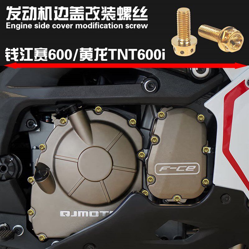 适用钱江QJ摩托车改装配件赛600贝纳利TNTi黄龙600发动机边盖螺丝