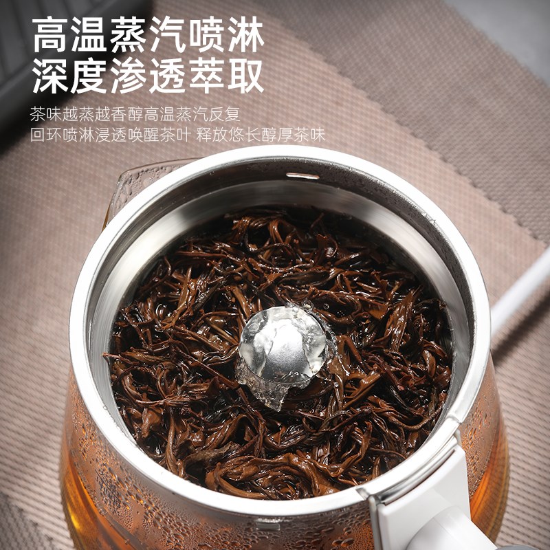黑茶煮茶器全自动蒸汽喷淋煮养生茶壶家用办公室小型烧水玻璃保温
