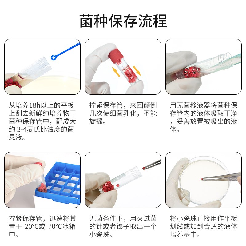 青岛海博瓷珠菌种保存管液体菌种保存管磁珠冻存管菌株冷冻管盒装