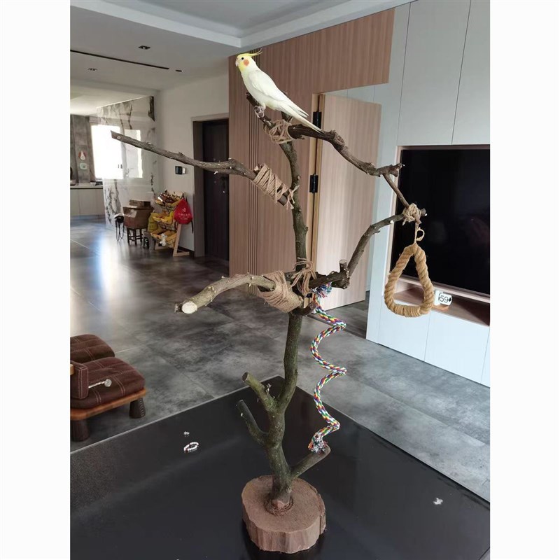 鸟站架树枝树杆鹦鹉站架树干原木站杆树杈秋千鸟笼实木灯架枯枝