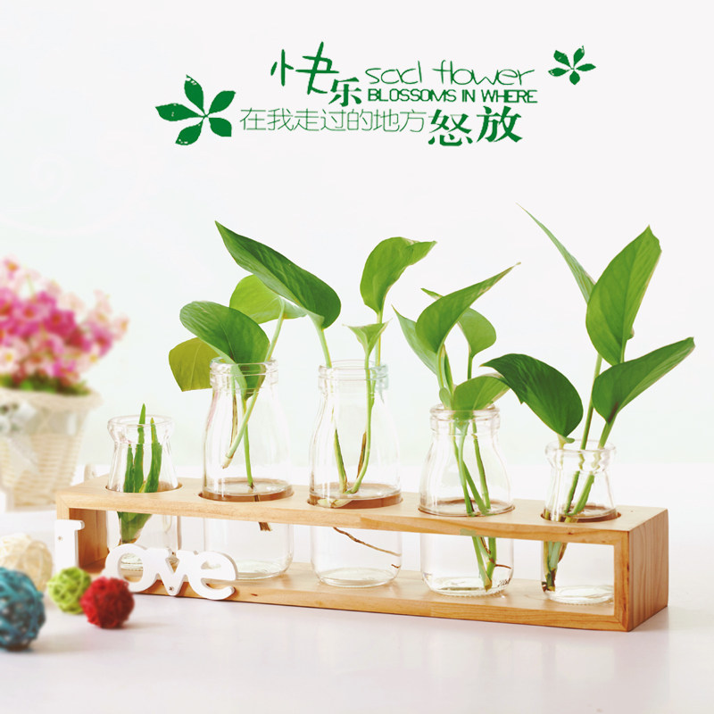 实木桌面绿植水培花瓶绿萝植物玻璃容器客厅书房摆件木架居家装饰