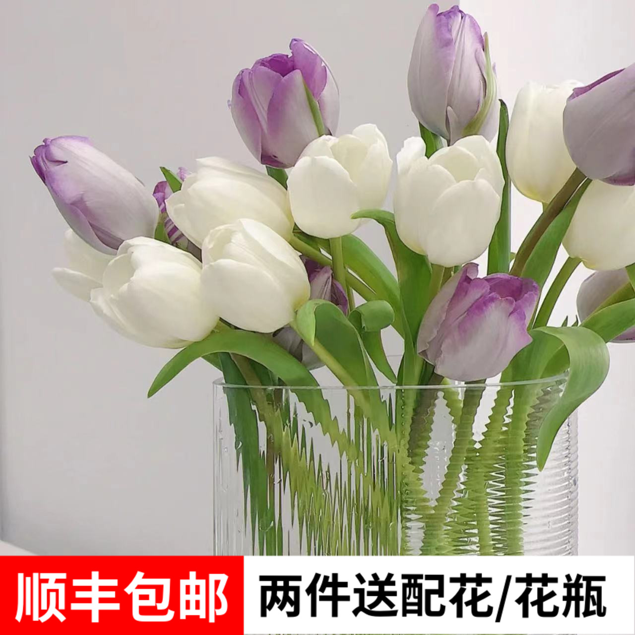 郁金香鲜花云南基地直发鲜切花家用水养插花白色花束真花粉色成品