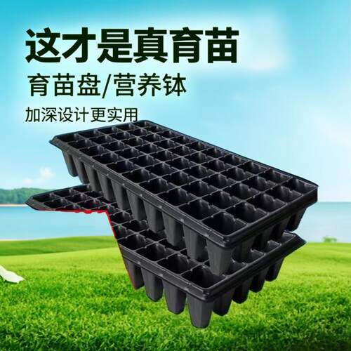 育苗盘穴盘辣椒玉米黄瓜育苗新料保量塑料可降解材料育苗器营养钵