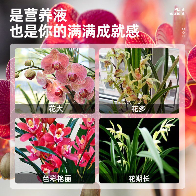 兰灵王兰花专用肥料EM菌微生物杀菌多箭素君子兰蝴蝶兰墨兰营养液