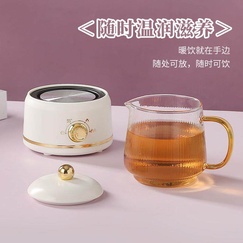 迷你多功能养生壶电炖杯办公室小型热咖啡煮花茶便携式电热杯礼物