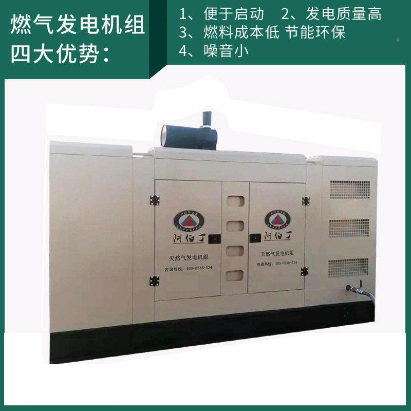 250kw天气然气5发电机组燃气发电机然20kw静音防雨阿伯丁 防腐天
