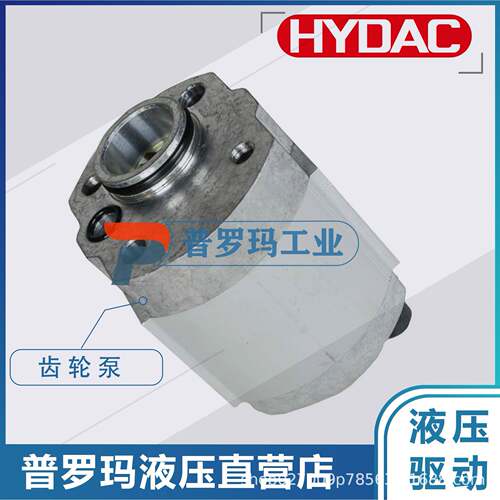 贺德克HCYHYDAC高压齿轮泵010A2X48 12X30A2 10A2.65X488B现货供8