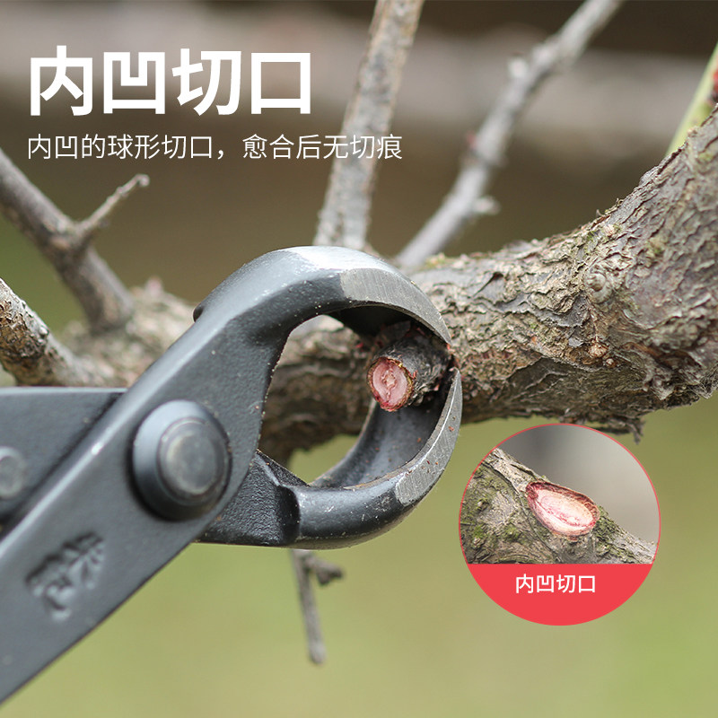 朱记球节剪球形剪朱记盆景工具球节钳球剪球钳朱记海威正品工具