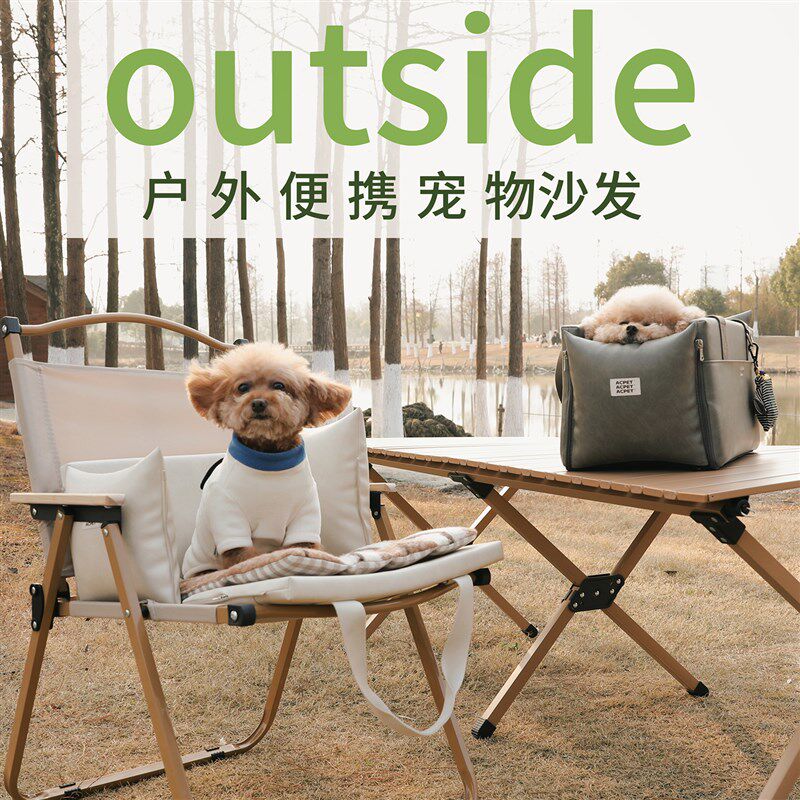 防水全皮宠物车载安全座椅中控窝汽车通用猫包固定行李箱车载狗窝