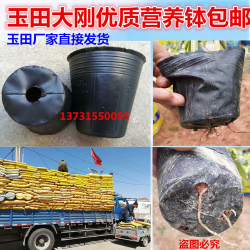 营养钵 育苗营养杯 塑料育苗盆一次性黑色软草花盆 营养袋 营养盆