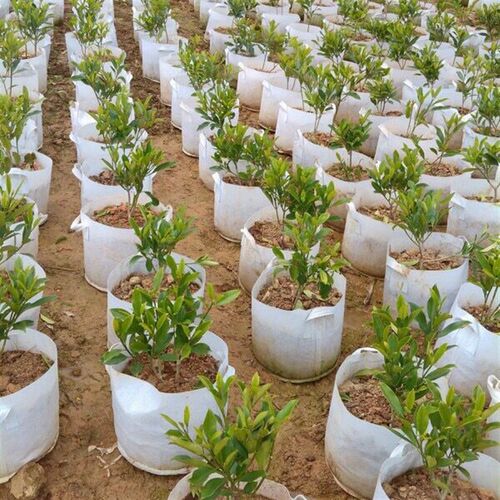 植树袋种植袋加厚无纺布美容种植袋根系控制装置苗圃袋营养袋厂家