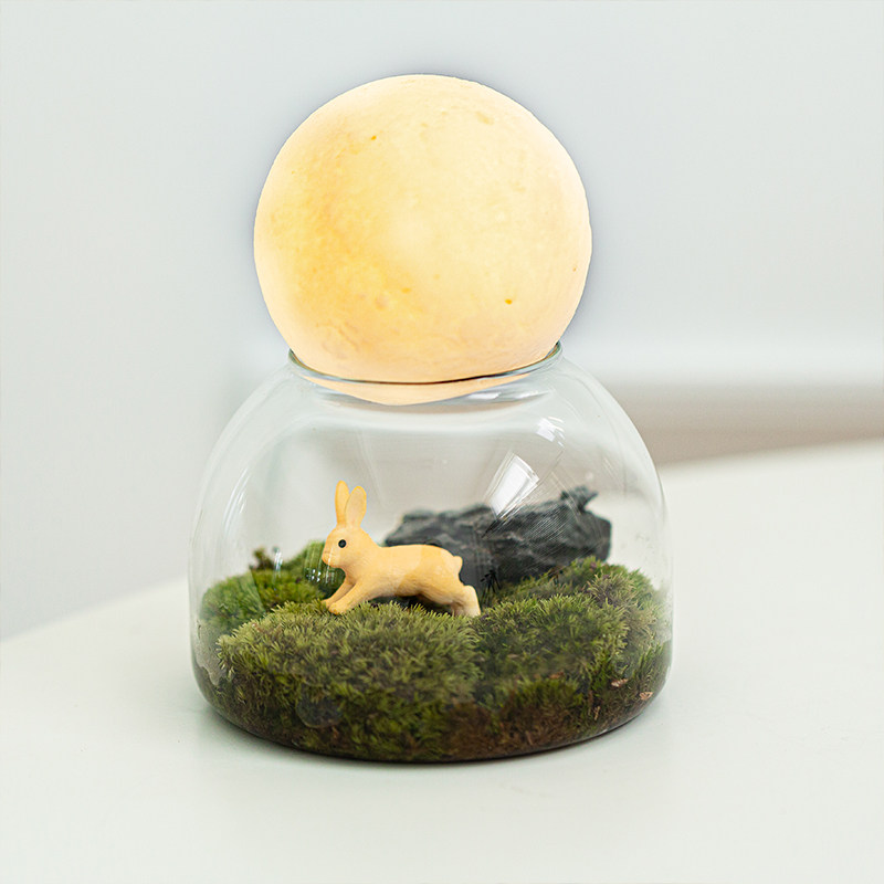 观月许愿瓶微景观草坪盆栽办公室桌面创意迷你摆件绿植中秋节礼物