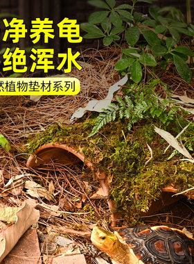 黄缘龟垫材半水龟生态环境造景安缘龟箱保湿专用龙眼叶松针松树皮