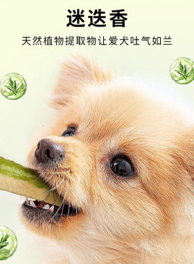 狗狗磨牙洁齿能量棒领格宠物用品泰迪金毛大小型犬咬胶耐咬狗零食